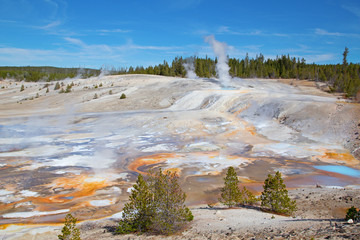 Norris geyser basin