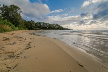 Beach and forrest with strong sun