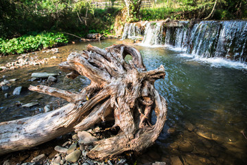 Wild river in carpathian mountains