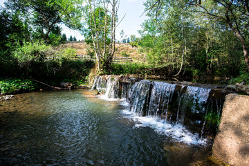 Wild river in carpathian mountains