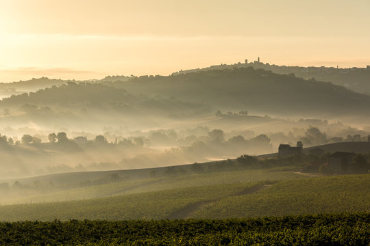 Paesaggio autunnale con vigneti e colline della regione Marche all'alba
