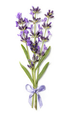 Bunch of lavender with ribbon