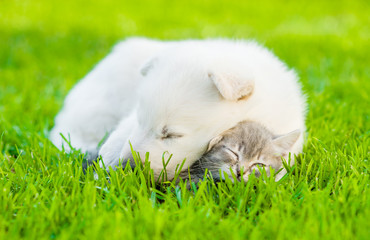 Sleeping White Swiss Shepherd`s puppy hugging kitten on green grass