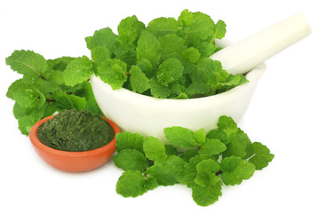 Bunch of mint leaves in a mortar with ground paste