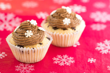 Vanilla cupcake with chocolate topping. Red background.