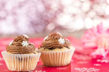 Vanilla cupcake with chocolate topping. Red background.