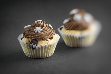 Vanilla cupcake with chocolate topping.
