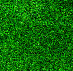 Obraz premium artificial grass