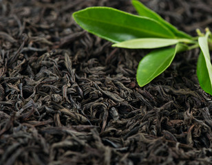 Black tea Closeup.