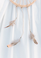 feathers of birds on a white background. Dreamcatcher.