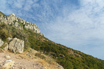 Fototapeta na wymiar The slope of the mountain South Demerdzhi. Crimea.