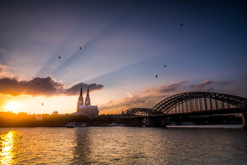 Fototapeta premium Sonnenuntergang in Köln