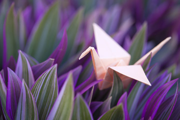 Origami paper crane in colorful foliage
