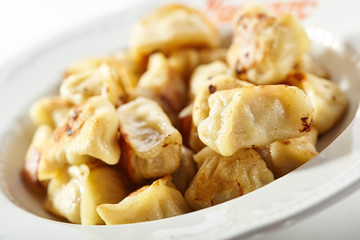 Fried Pork Dumplings