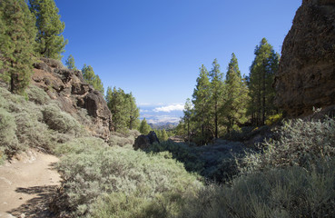 Gran Canaria, hiking path Cruz de Tejeda - Teror