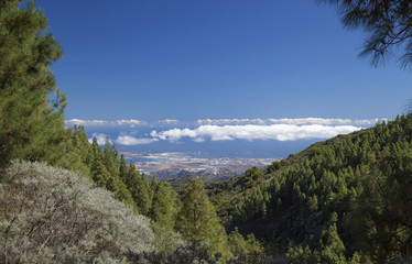 Gran Canaria, hiking path Cruz de Tejeda - Teror