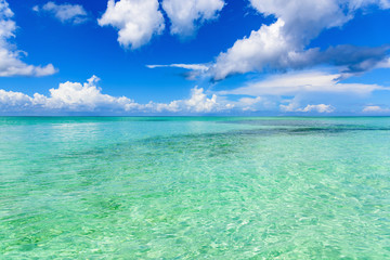 Fototapeta premium sandy sea beach