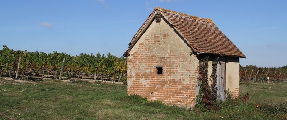 tonne de vigne