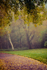Autumn in Goldsworth Park in Woking