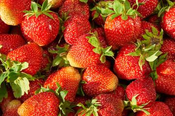strawberries  background closeup