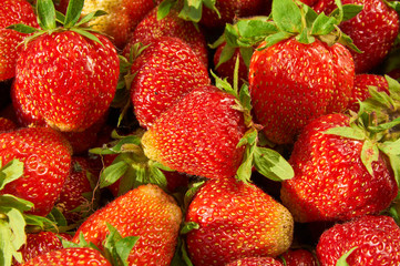 strawberries  background closeup