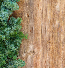 christmas fresh green tree twigs and branches on wood
