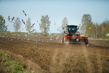 Fototapeta premium Tractor sowing field