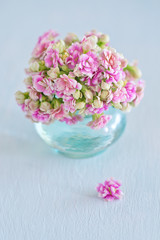 Pink spring bouquet of a fresh flowers on a blue background .
