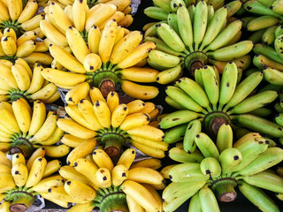 Ripe yellow banana, raw green. Placed on the market.