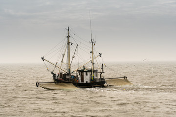 Naklejka premium Schiff