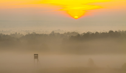 Tour de chasse dans le brouillard du matin