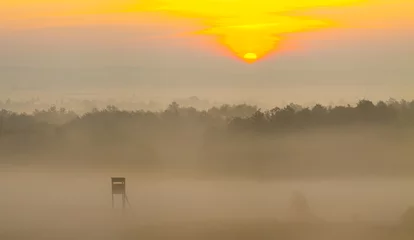 Crédence de cuisine en verre imprimé Chasser Tour de chasse dans le brouillard du matin