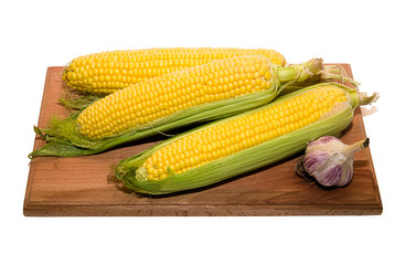 The fruit of the corn on over white