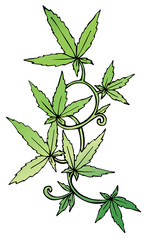 Marijuana leaf on the old watercolor paper background, vector image