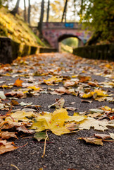 Autumn path leads to the bridge