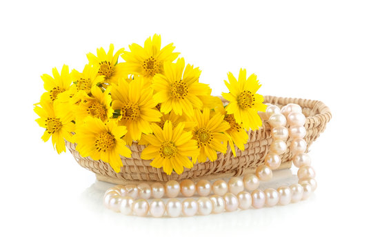 Fototapeta yellow flower and Pearl necklace