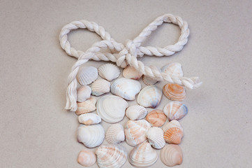 seashells in the form of a gift from the sea rope bow