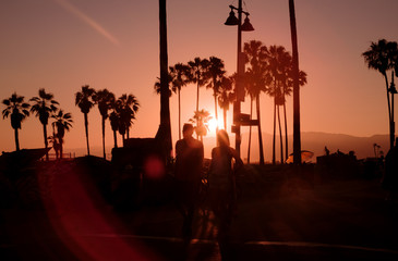 Silhouette couple walk through palm trees at sunset