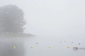 Fototapeten Zwemmen in de mist © Jan