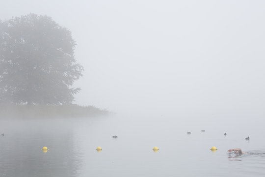 Zwemmen in de mist