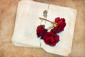 Vintage Background with Rose on Old Book - Greeting Card