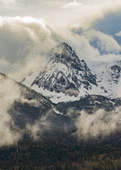 East Thorn in Snow