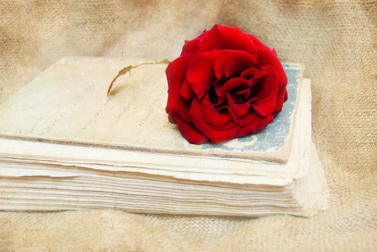 Vintage Background with Rose on Old Book - Greeting Card
