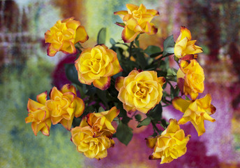 Bukiet żółtych róż na kolorowym tle