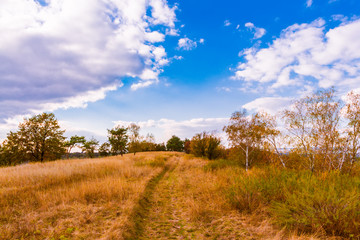 Fototapeta na wymiar Trail on a hill beneath blue sky in autumn.