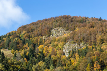 Paysage des Vosges en automne