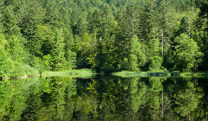 Reflets sur un lac