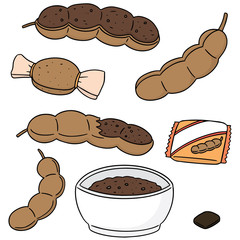 vector set of tamarind product