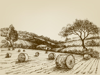 Harvest landscape, farm field and hay bales © Danussa