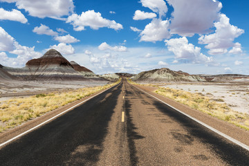 Empty road in the desert in the State of Arizona, USA; Concept for road trip and travel in America